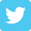 Social media network: icona che collega al mio profilo Twitter