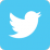 icona che collega al mio profilo sul Social Twitter